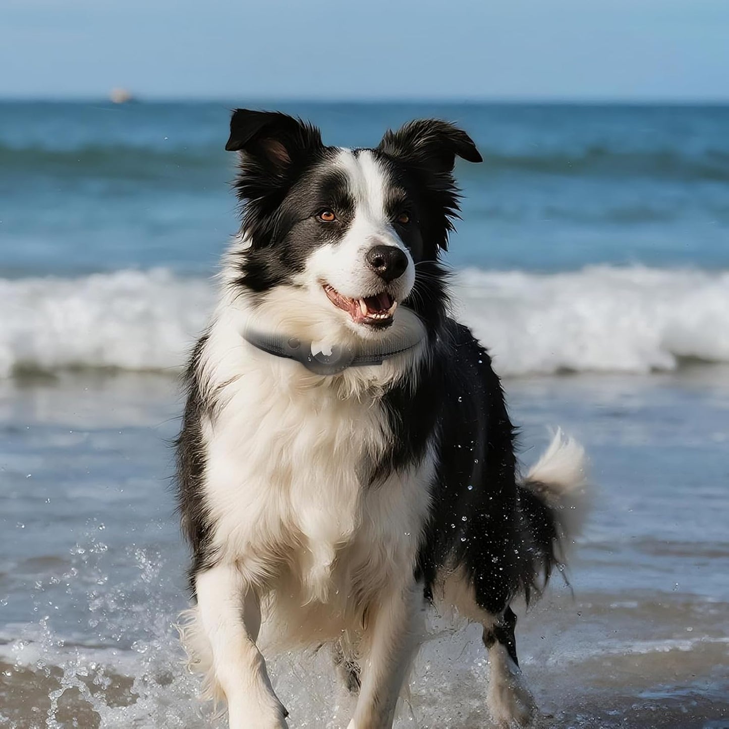 2025 Upgraded AirTag Dog Collar, Leather Dog Collar with AirTag Holder, Adjustable, Breathable, Soft Padded Apple Air Tag Dog Collars for Small Medium Large Dogs, (Black, M)