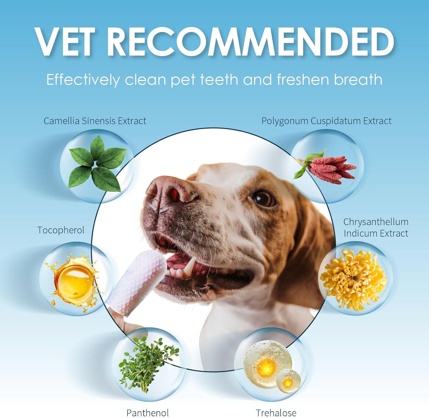 Mooncat Waterless Cat Shampoo with Brush and Dental Finger Wipes Bundle - Licking Safe Dry Foam Bath and Teeth Cleaning Wipes for Grooming and Breath Freshening