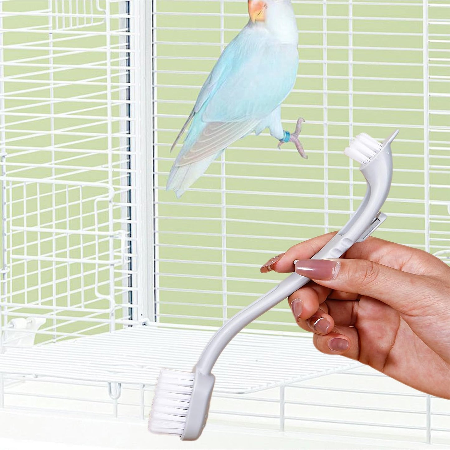 Bird Cage Cleaning Brush with Long Handle, Durable Hard Bristle Scrub Brush for Bird Droppings, Parrot Cage Cleaner Tool, Pet Bird Perch Cleaning Accessories for Aviary and Small Animal Cages