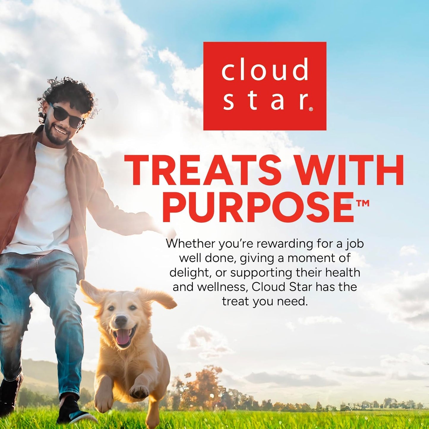 Buddy Biscuit 3.5 lbs. Bag of Crunchy Dog Treats Made with Natural Peanut Butter