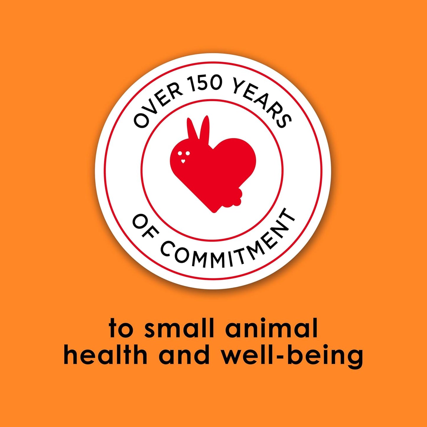 Kaytee Fiesta Rabbit Food, Nutritious and Fun Blend, Supports Dental Health and Digestion, 6.5 pounds