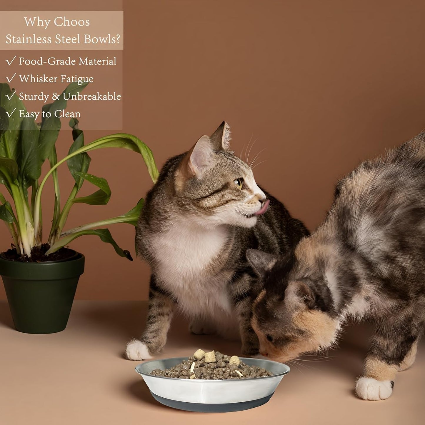 4 Pack Stainless Steel Whisker Friendly Shallow and Wide Cat Bowls for Food and Water, Non-Slip Silicone Cute Bottom for Small Dog Puppies Cats.