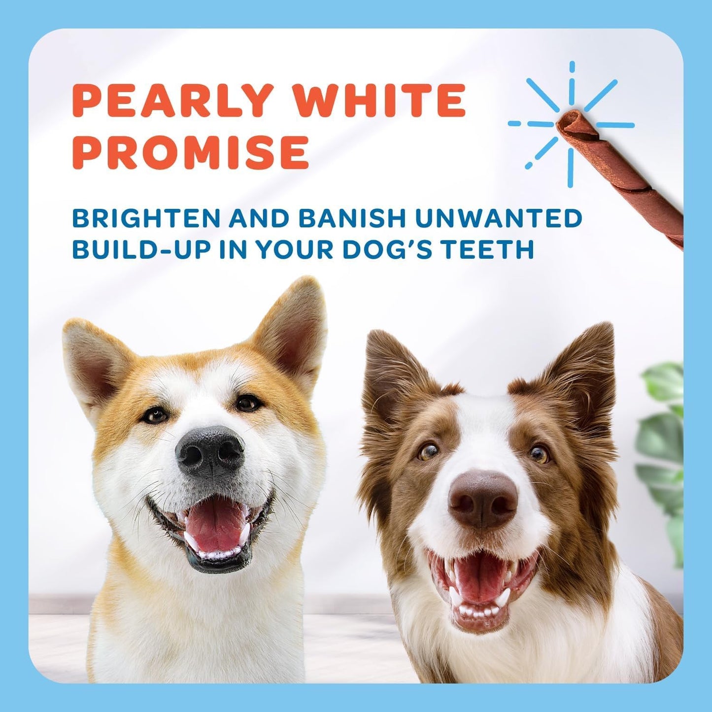 Beef Collagen Sticks for Dogs - One Ingredient Collagen Chews - Collagen Treats - Made in USA Collagen Dog Chews (TP-Collagen-10ct)