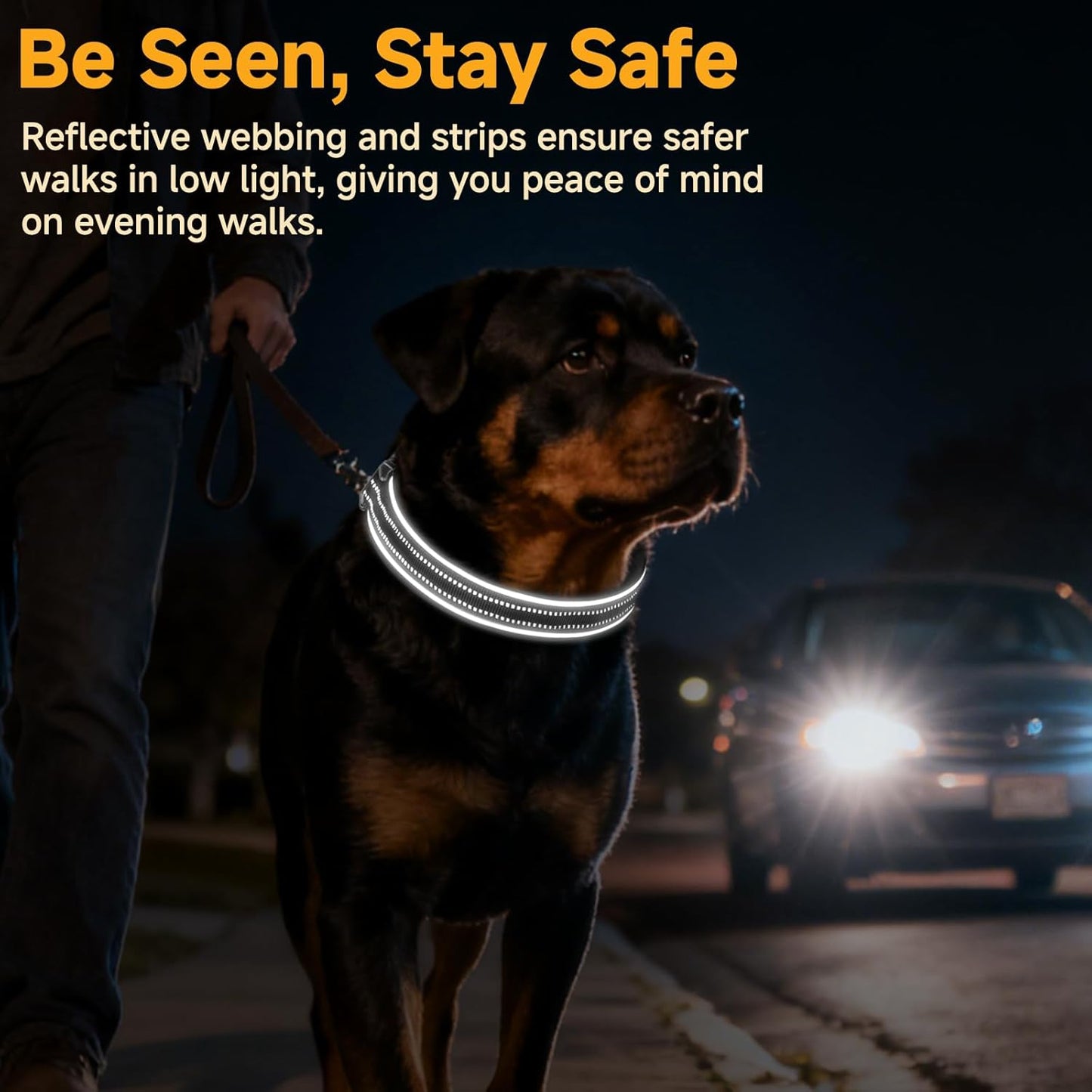 Mayerzon Martingale No Pull Collar for Medium Large Dogs, Walking Training Collar for Dogs German Shepherd Boxer Rottweiler That Pull, Reflective, with 360° Swivel Ring and Release Buckle(M, Black)