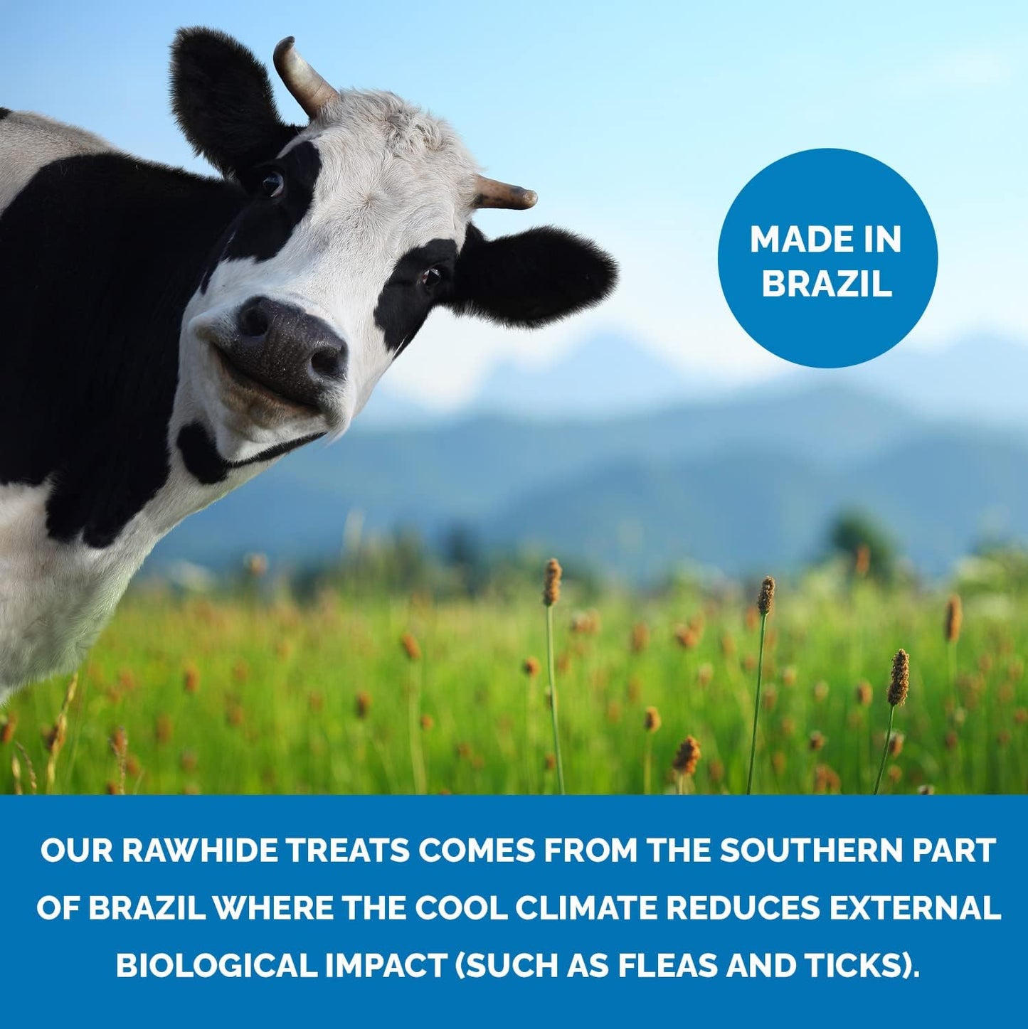 123 Treats | Dog Rawhide Bones Chews 3-4" (50 Count) Premium Rawhide Dog Bones | Free Range Grass Fed Cattle with No Hormones, Additives or Chemicals