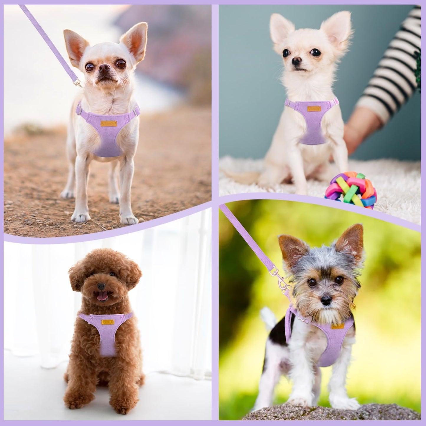 Lukovee No Pull Small Dog Harness with Leash - Lightweight Soft Puppy Vest Harnesses, Adjustable Pet Harnesses for Puppy Small Dogs (Purple, XS)