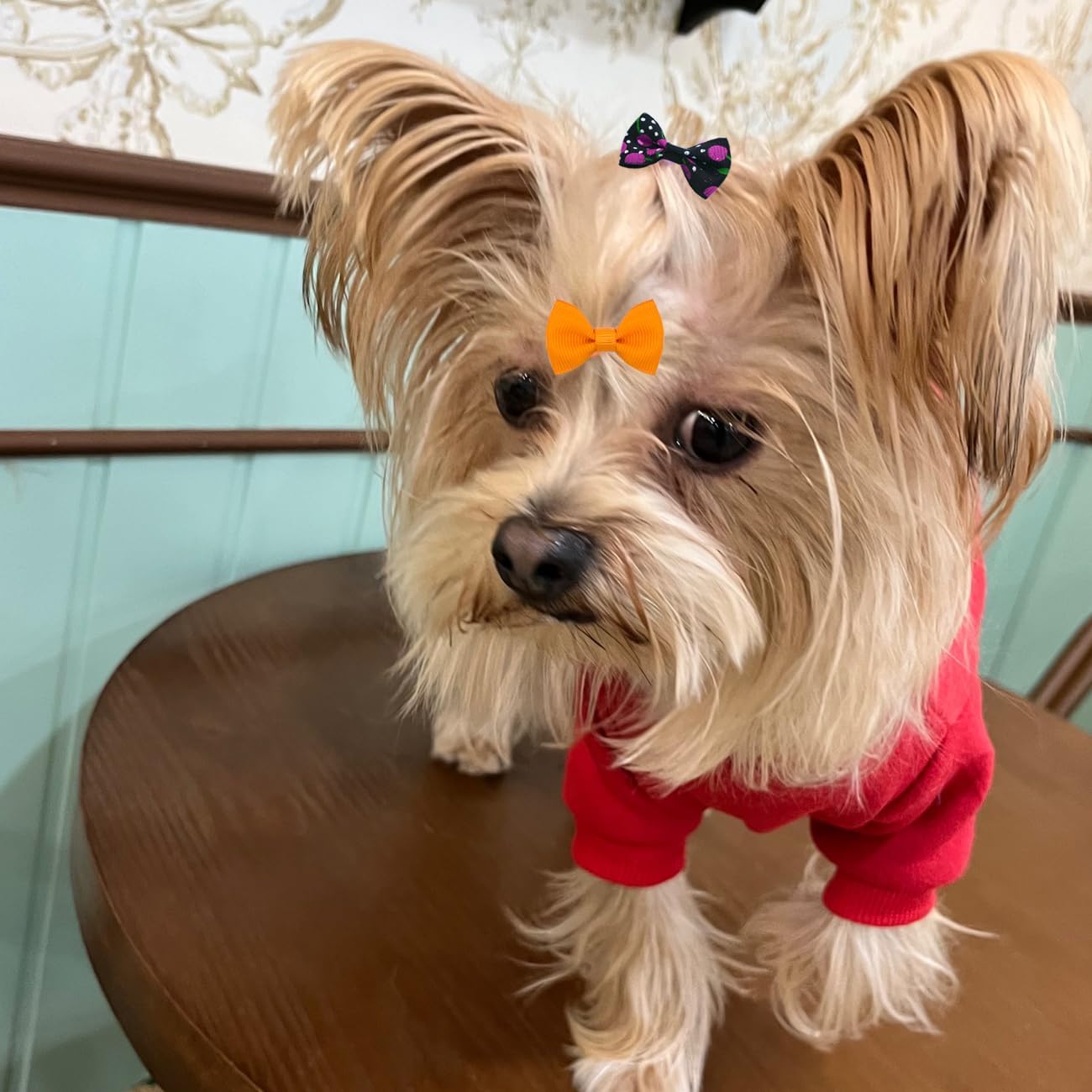 Dog Hair Bows Cute Puppy Dog Bowknot Hair Ties Bulk with Rubber Bands Hair Accessories Bow Pet Grooming Products 40PCS