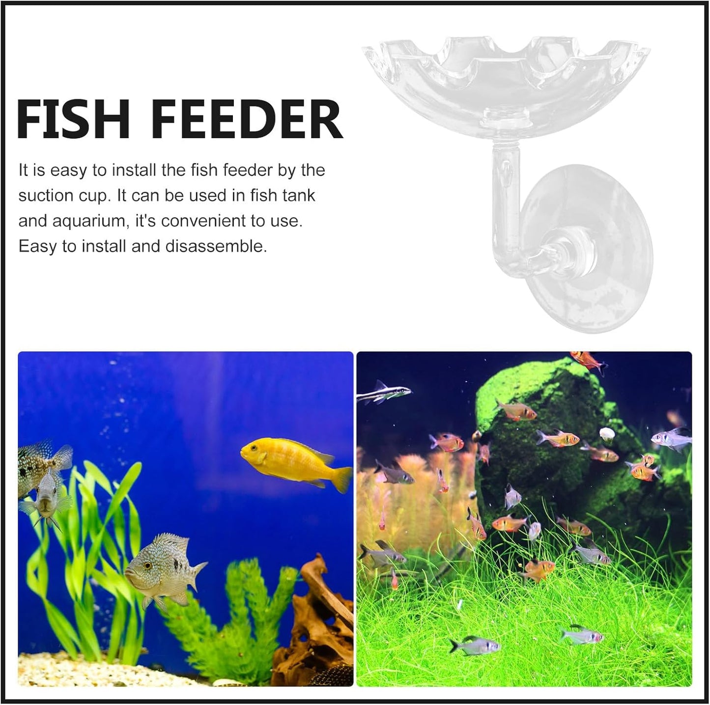 Shrimp Feeder Bowl with Sucker Fish Feeding Tray High Transparency Aquarium Feeding Dish Decorative Shrimp Food Basin for Fish Tank Aquatic Pets