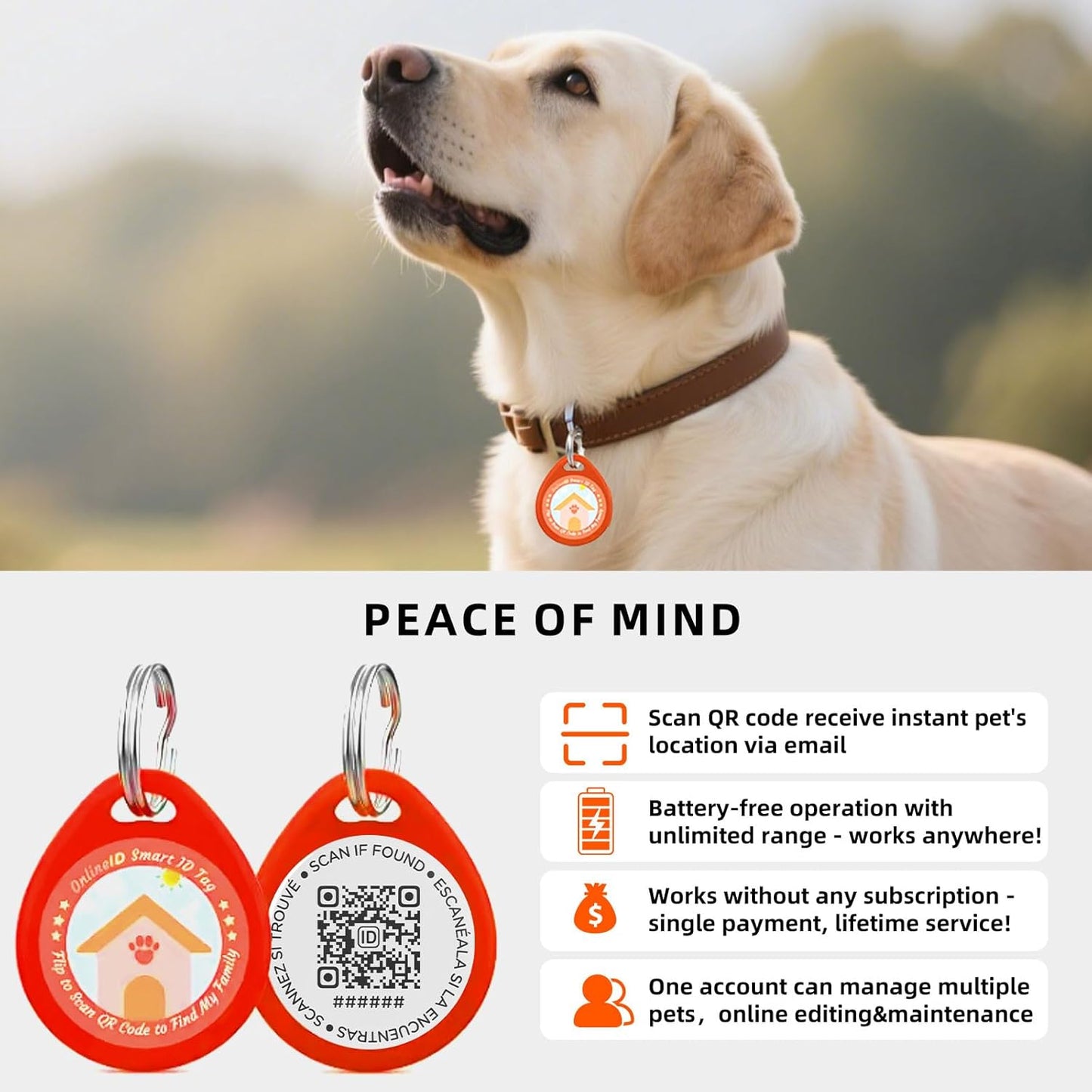 1 Pack Personalized Cat Tags,QR Code Pet ID Tags with Online Profile systerm,Editable Any Names and Phone numbles,Pink,S