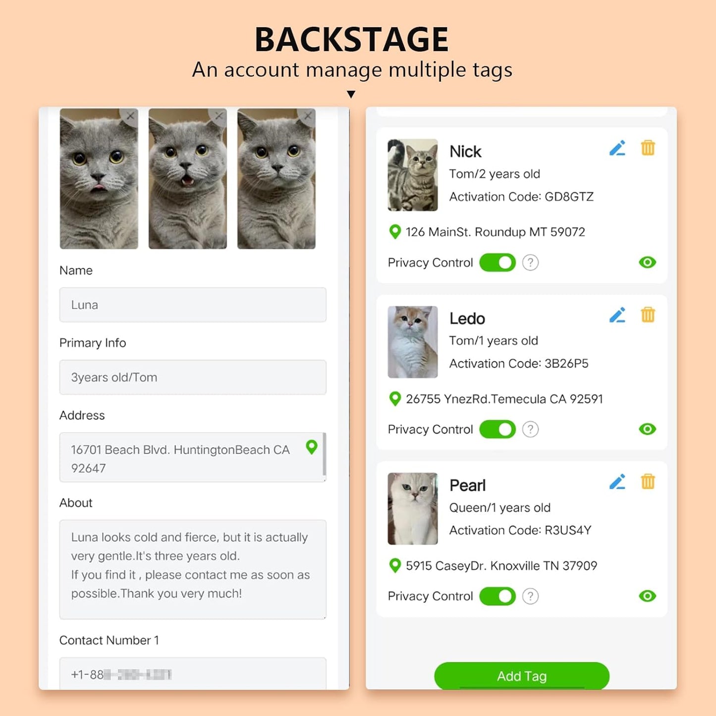 2PCS Breakaway Cat Collars with Bell Cute Star &Moon Safe Kitten Collars with Pendant Glow in The Dark,Airtag Holder Cat Collar with Smart ID tag & QR Code Reflective for GPS Boy Girl Cats (Purple)