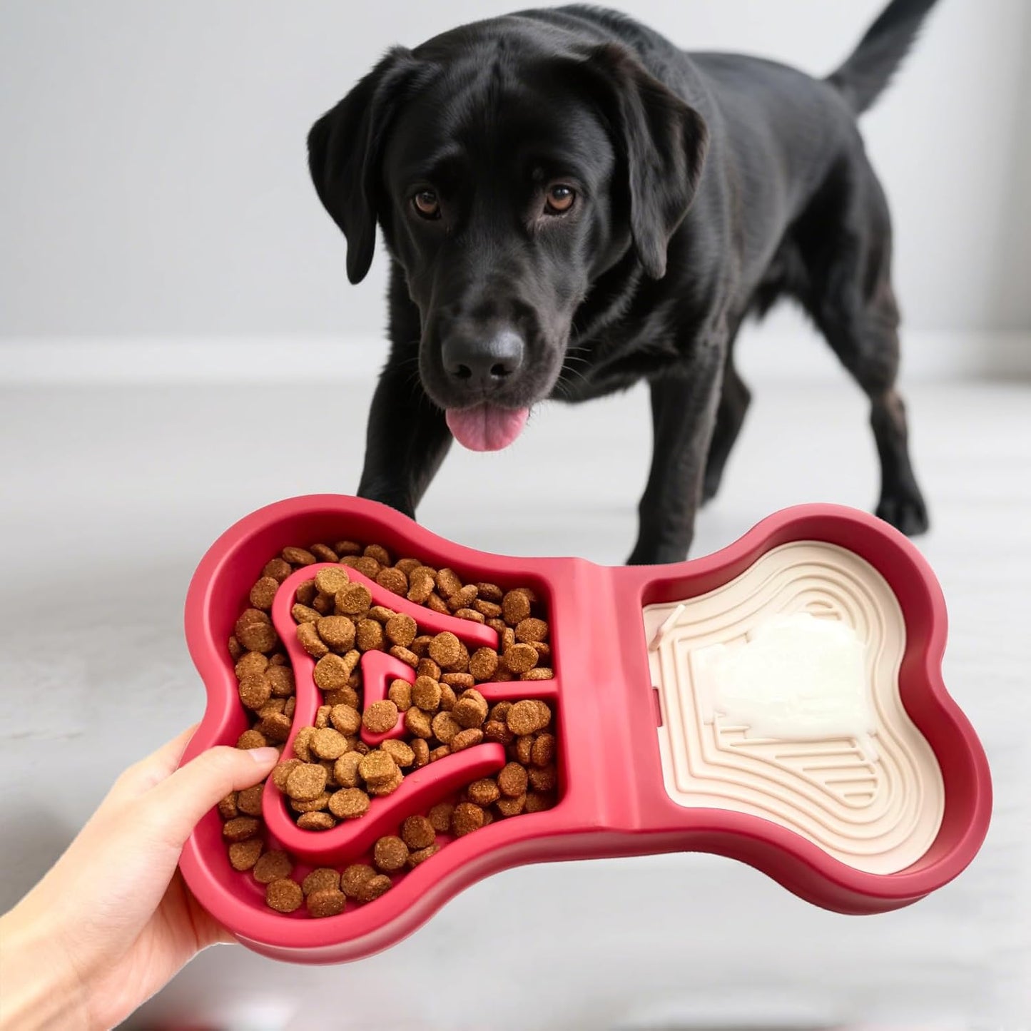 Bone Slow Feeder Bowl for Dogs Cats - 2-in-1 Lick Mat & Water Dish with 6 Non-Slip Pads, Food-Grade PP & Silicone Pet Bowl for Anti-Choking,Fun Feeding,Anxiety Relief (Purple)