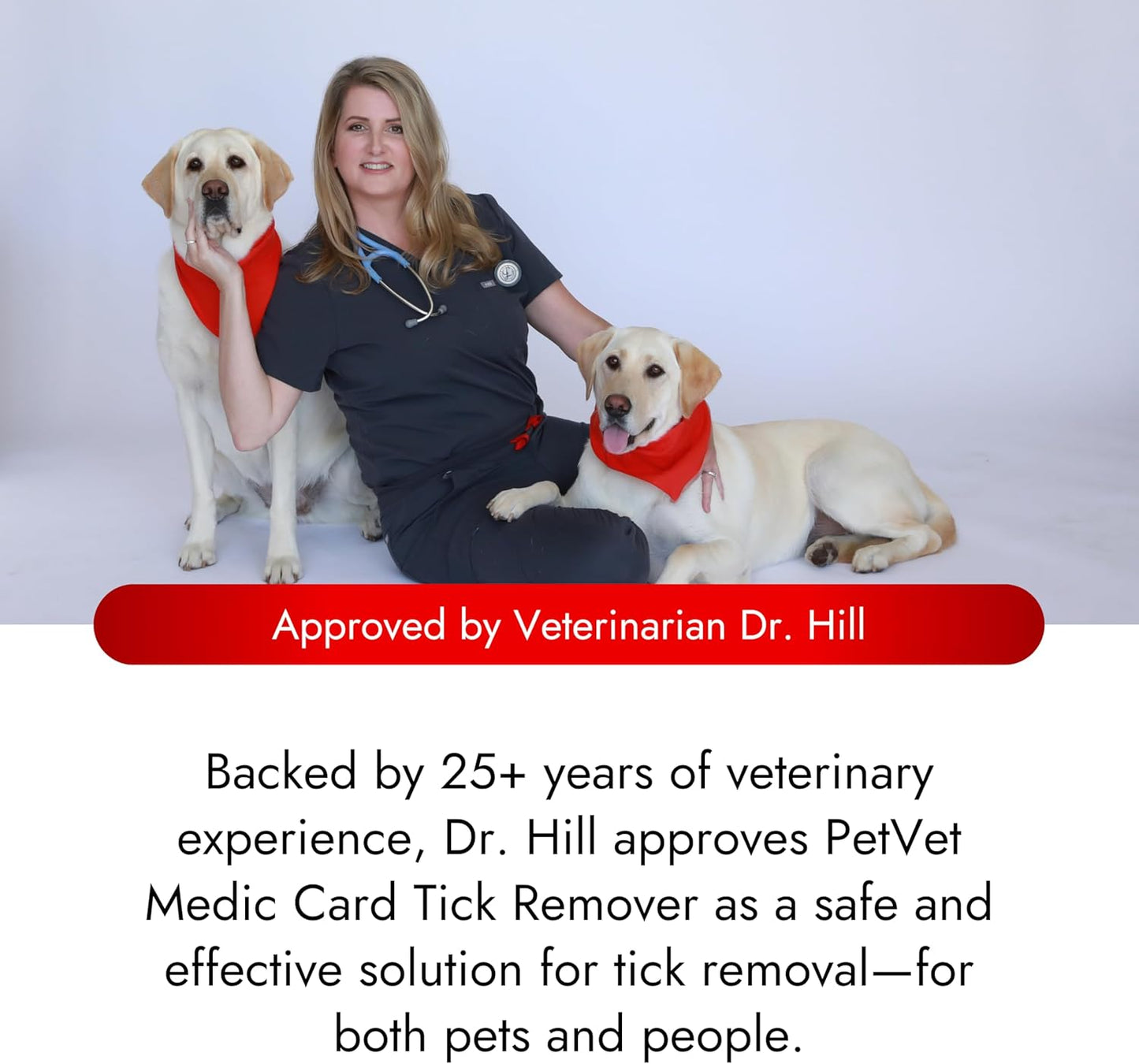 Pet Vet Tick Remover Card Wallet Sized (3 Pack) – Tick Removal Tool – Pet & Human Dog Tick Control - Safe, Pain-Free, Reliable, & Complete Removal of Big and Small Ticks – Dog Accessories