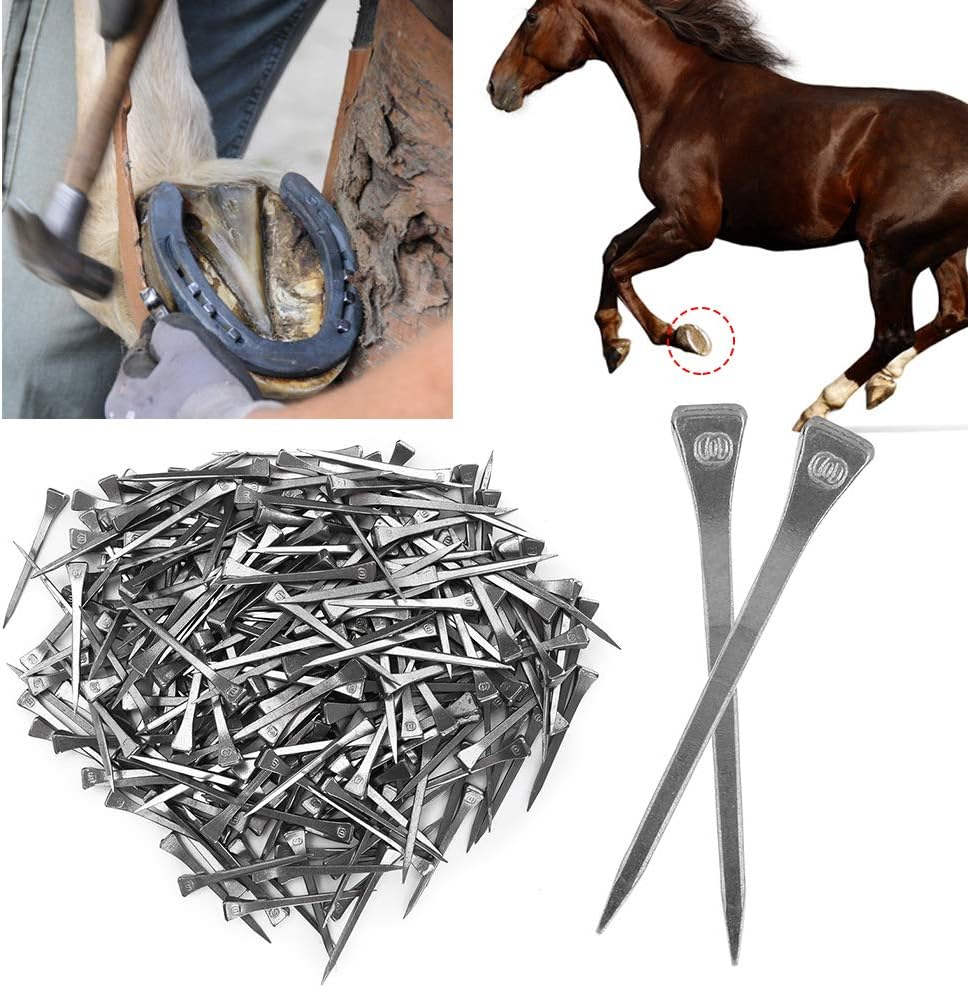 250PCS E6 Horseshoe Nails, Steel Hoof Pegs Horseshoe Nails with Good Elasticity for Horse Training, Secure Firmly, High Tensile Strength Farrier Tools, Lightweight