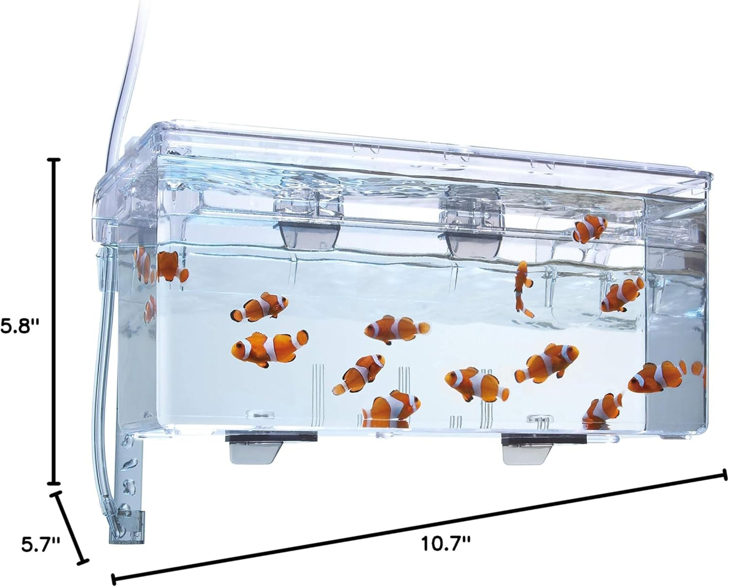 Fluval Multi-Chamber Holding and Breeding Box, Large – Up To 3 Separate Housing Compartments