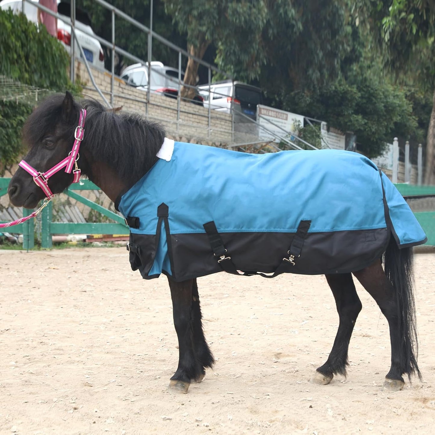 Mini Horse/Pony/Foal/Miniature Size 36"-51" Lightweight Waterproof & Breathable 1200 Denier Turnout Blanket with No Filling Peacockblue 42"