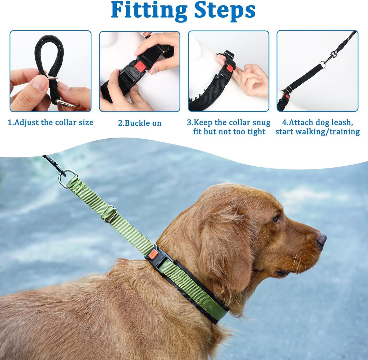 Mayerzon No Pull Dog Collar, Patented Martingale Collar for Small Medium Large Dogs with Buckle and Heavy Duty Nylon for Walking Training Hunting, Safe and Easy to Use(L, Green)