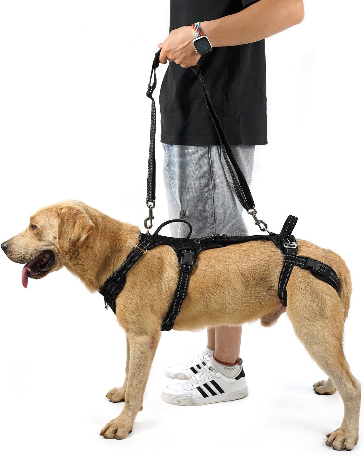 COODEO Mobility Dog Lift Harness, Support Sling & Walking Sling for Dogs, Pet Rear Leg Rehabilitation Support Vest, Dog Carrier for Senior Dogs with Joint Injuries, Arthritis, Up Stair (Black, XL)