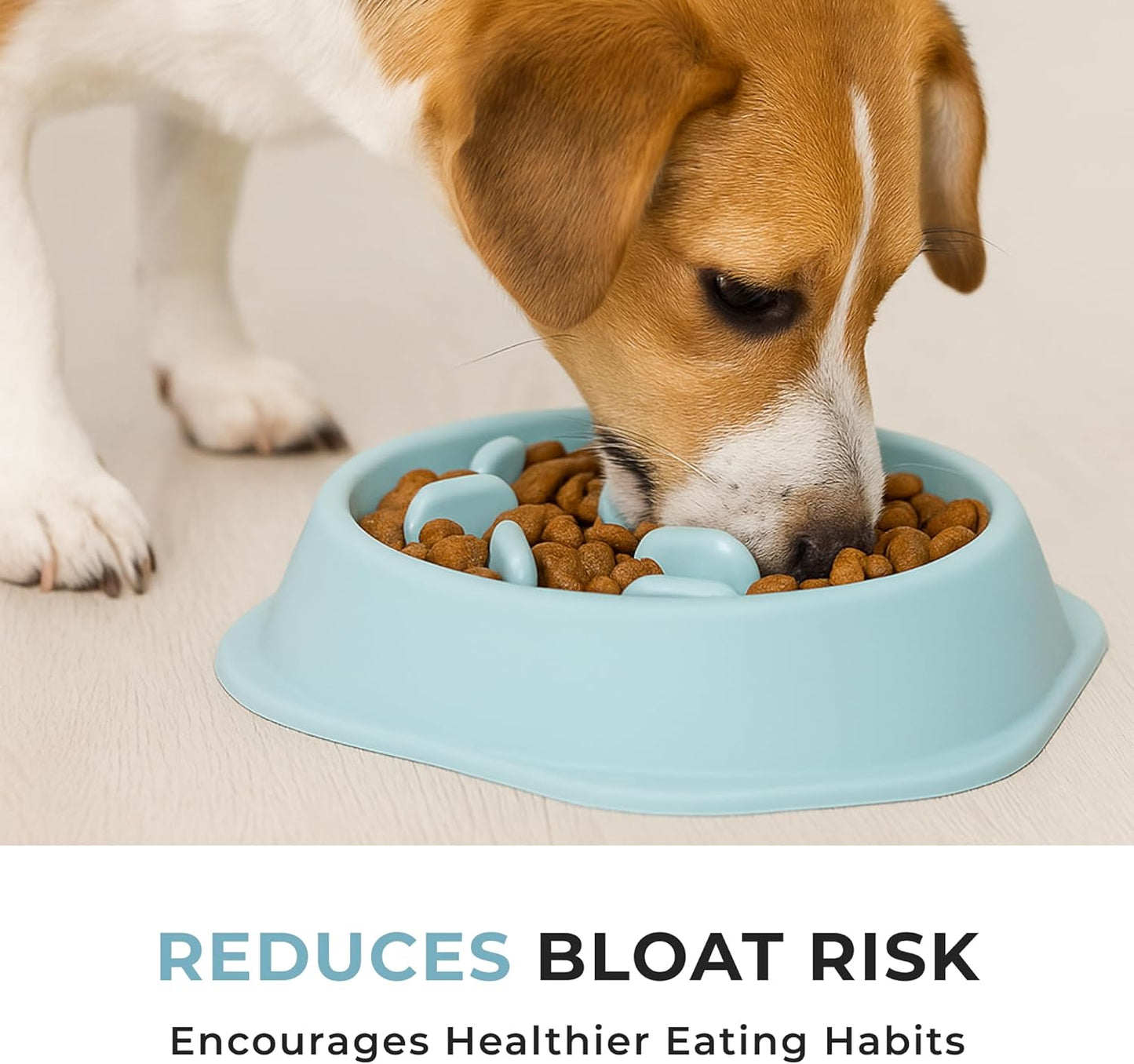 Slow Feeder Dog Bowl – 2 Cups, Non-Slip, Food-Safe Plastic, Easy-Clean Design for Medium & Large Dogs (Blue)