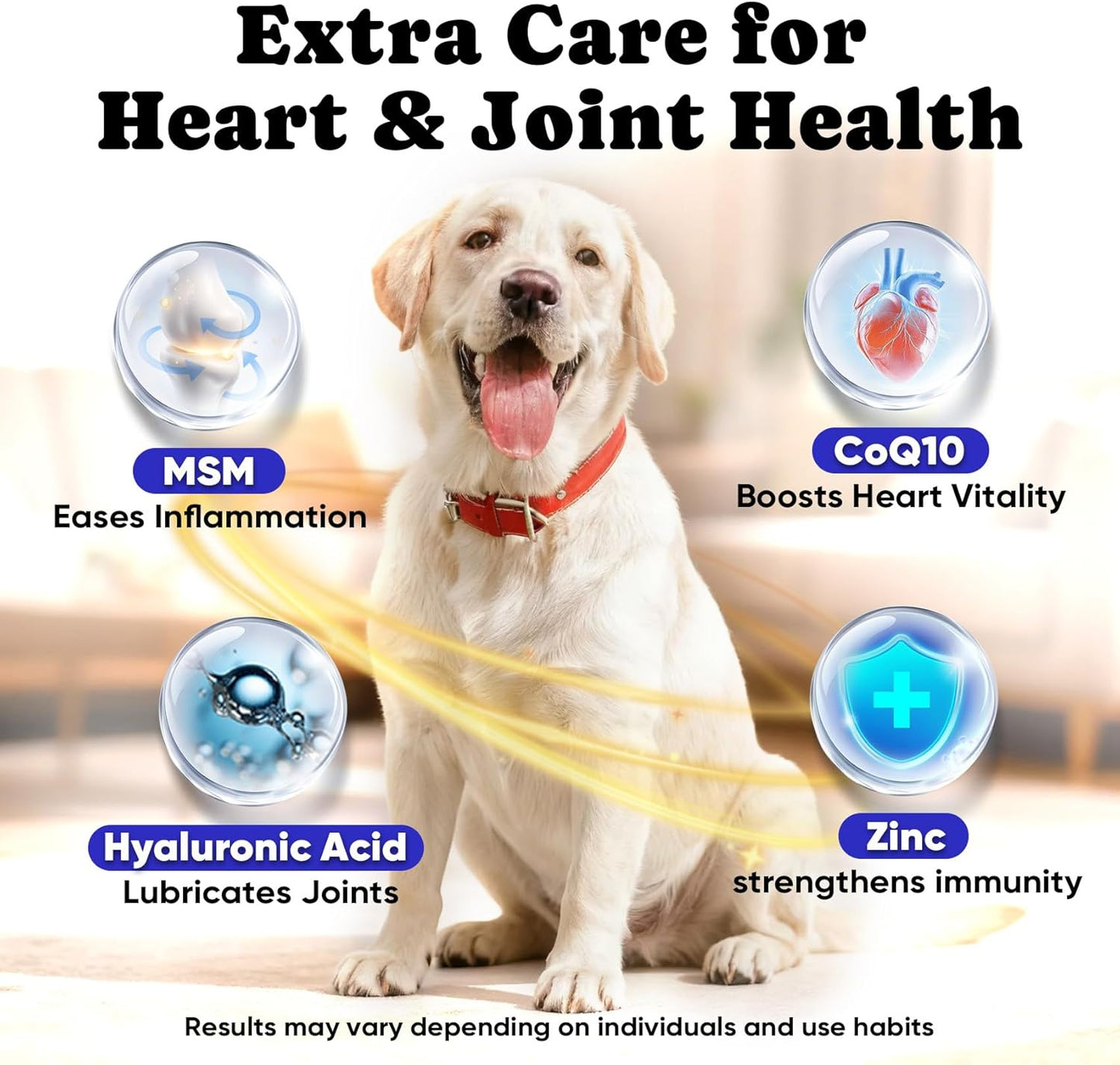 Hairball & Skin Health Bundle for Cats – Hairball Remedy Treats + Salmon Oil