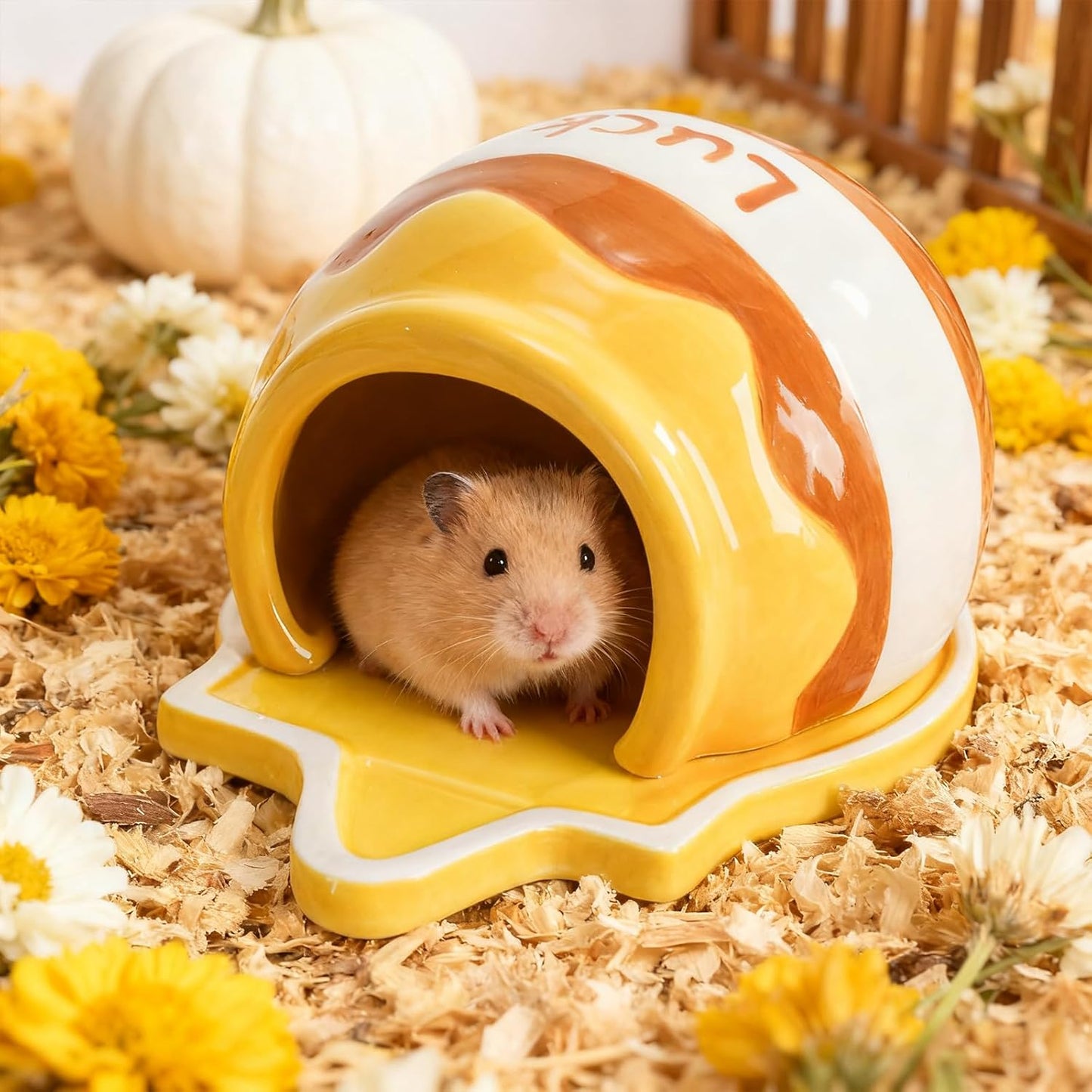 Ceramic Hamster Hideout, Small Pet Hideaway House, Guinea Pig Habitat Decor, Cute Syrian Hut, Chinchilla Cage Accessories for Dwarf Hamsters, Mice, Rats, Toads, Gerbils (Honey Shape)