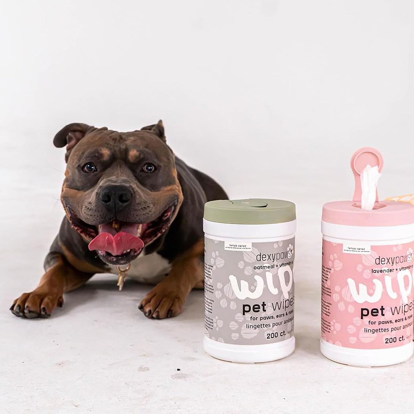 Dexypaws: Pet Wipes - Oatmeal & Vitamin E - 200ct Canister, Cleansing Wet Wipes, Cats & Dogs Grooming Care, Paws-Face-Ears-Nose, Moist-Gentle-Portable