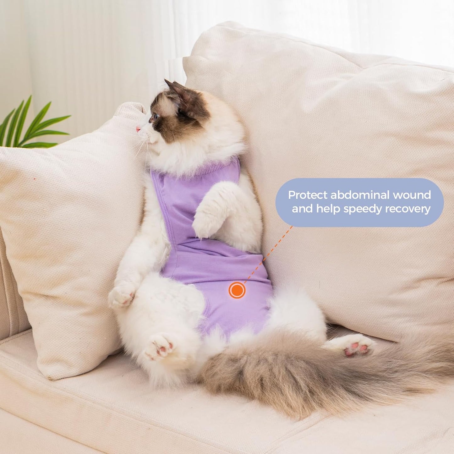 Avont Cat Recovery Suit Post-Surgery Onesie, Breathable Cone-of-Shame Alternative Bodysuit for Spayed Female Kittens, Skin Abdonminal Wound Care -Purple(M)