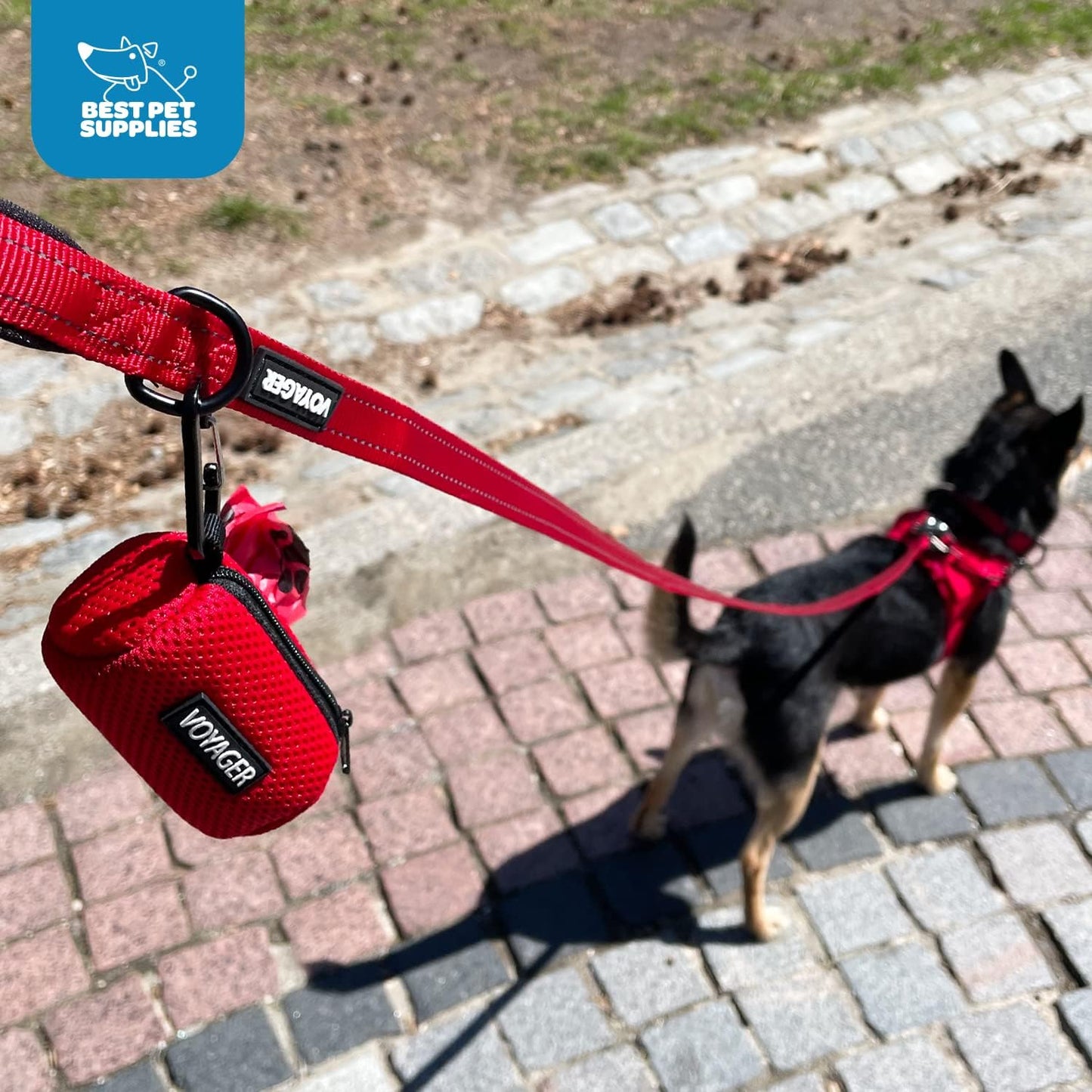 Best Pet Supplies 2-Pack Dog Poop Bag Holder Leash Attachment, Color, Reusable Mesh Dispenser Pouch for Travel, Walking, Park, and Outdoor Use, Soft and Durable with Clip-On - Mesh Lime Green