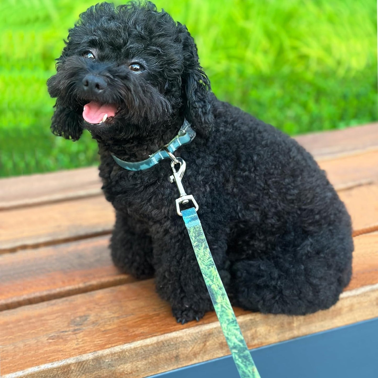 WYuZe 5 ft Puppy Leash for Small Dogs +7 FT Waterproof Dog Leash Odor-Proof Easy to Clean