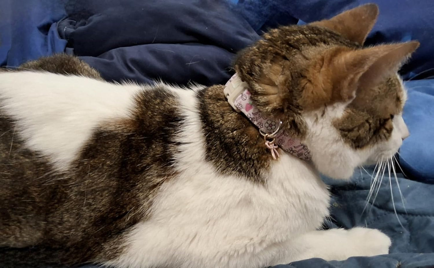 Lionet Paws Spring Dog Collar- Cute Strawberry Pink Dogs Collar with Plastic Buckle and Bowtie Pendant,Dog Collar for Medium Large Dogs