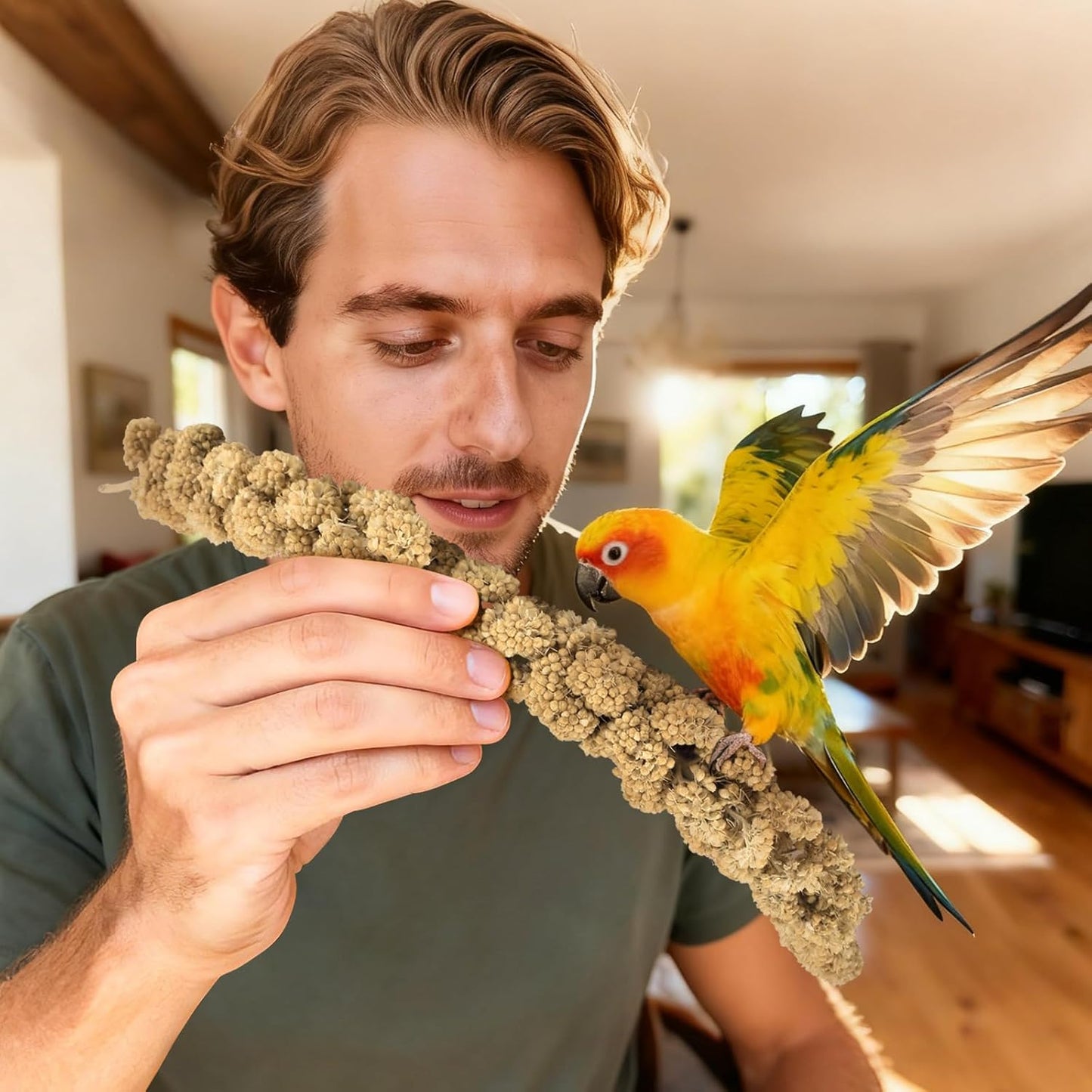 ERKOON 5LB Spray Millet Treat, All Natural Sun-Dried Healthy Treat Parrot Food Bird Snack for Parakeets, Lovebirds, Cockatiels, Finches, Budgies, Canaries Hamster, Bird Food Bulk