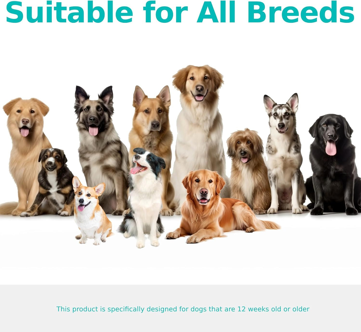 Multi Collagen for Dogs | Hip & Joint Support, Skin & Coat Health | Vet-Formulated Pet Supplement with Hyaluronic Acid & Vitamin C | All Ages & Breeds | Chicken Flavored - 180 Soft Chews