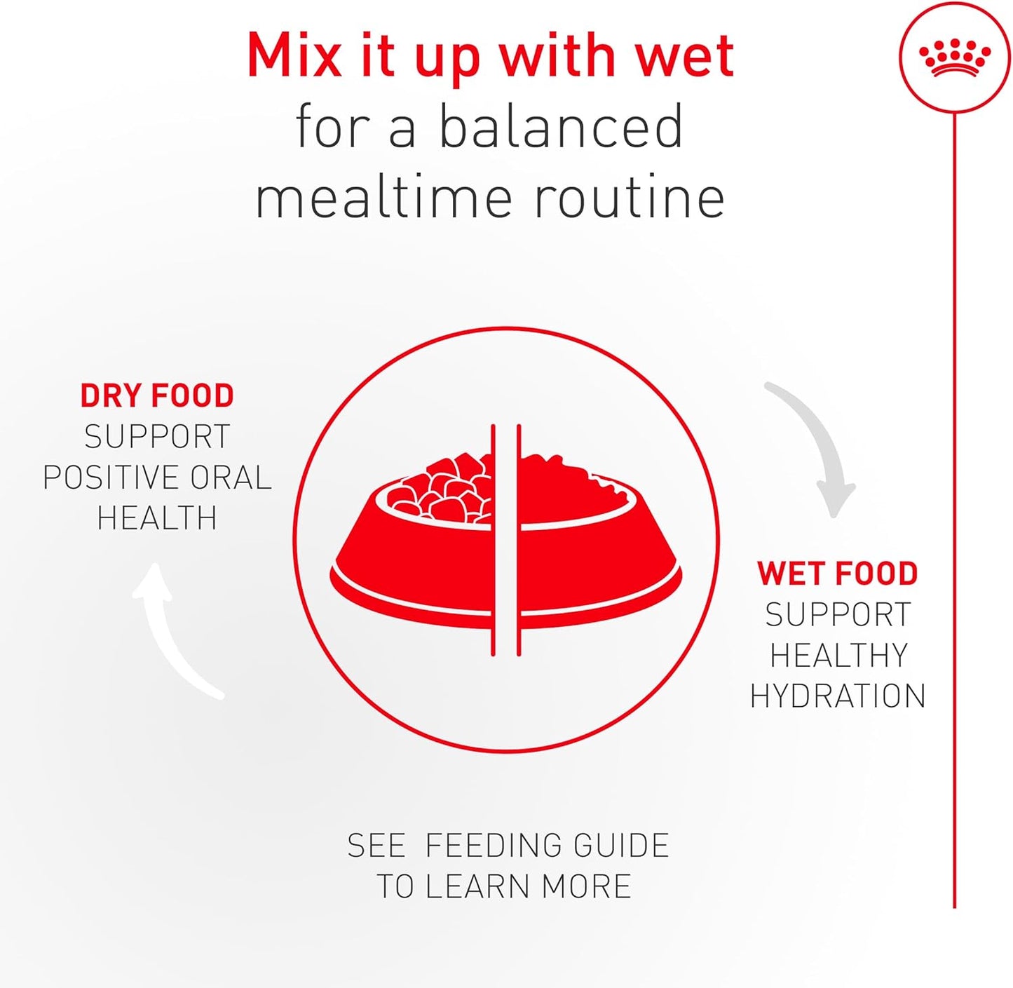 Royal Canin Fussy Dry Cat Food for Adult Cats, Protein-Rich Kibbles for Picky Eaters, Poultry-Based, Supports Healthy Weight and Urinary Health, 7 lb Bag