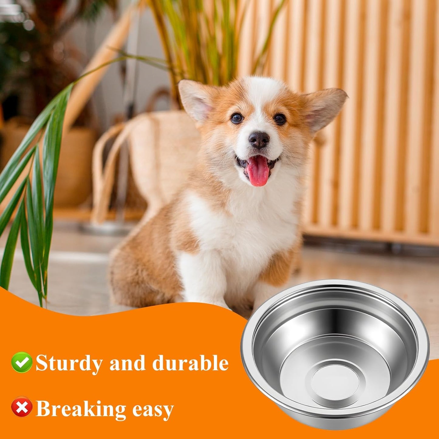 12 Pcs Stainless Steel Cat Bowls Bulk, 5.5 Inch Wide Flat Metal Cats Food Bowl Silver Thickened Replacement Basic Kitty Plates Whisker Friendly Fatigue Relief for Cat Puppies