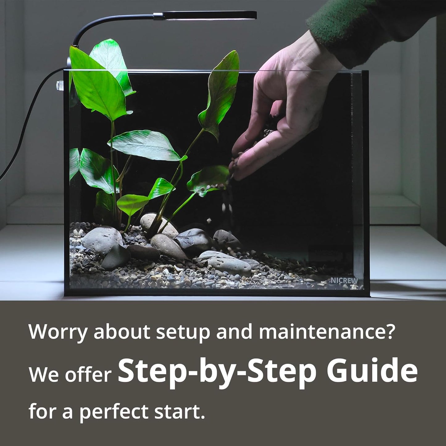 NICREW 2.5 Gallon Nano Nature Aquarium Kit, Ultra-Clear Rimless Desktop Fish Tank with Light and Filter, Perfect for Small Fish, Shrimp, or Betta, Basic Version, Black