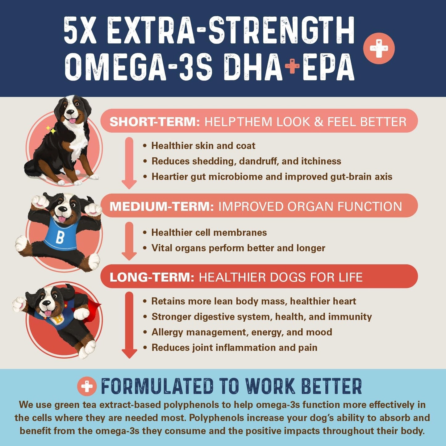 Bernie's OMG! Omegas Chews for Dogs - 5X Extra Strength DHA+EPA, Fish Oil, Healthy Skin & Coat, Allergy Relief, Joint Supplement (Salmon Flavor)