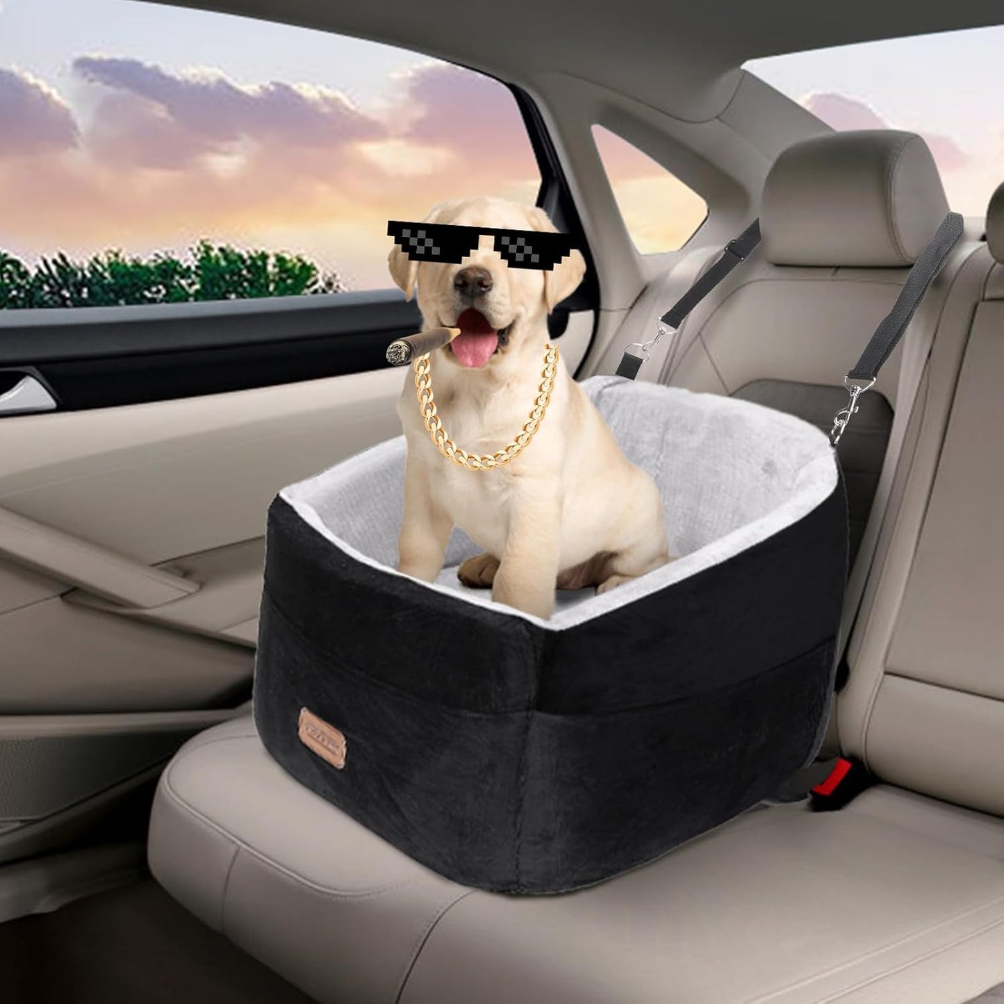 Nobleza Dog Car Seat, Warm Elavated Dog Booster Sofa Seat Non-Slip Travel Bed for Car Truck SUV with Adjustable Safety Buckle Storage Pockets, Washable Detachable Elevated for Small Medium Pet Outing
