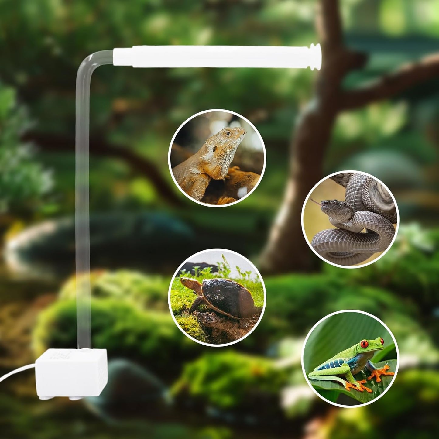 USB-Powered Reptile Shower Kit with Waterfall Fountain & Plush Towel – Bathing Essentials for Bearded Dragons, Frogs & Small Pets