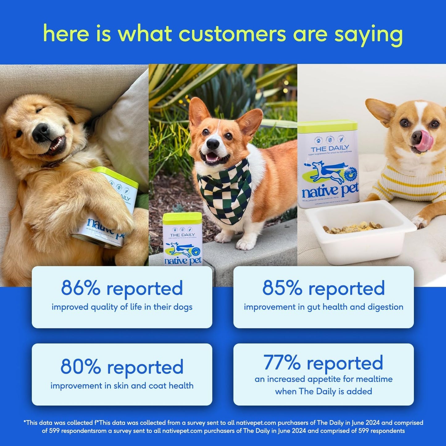 Native Pet Dog Vitamins & Supplements - 11-in-1 Vitamin Powder for Dog Food Topper - Collagen, Glucosamine, Probiotics, Omega & More- Supports Healthy Gut, Mobility & Overall Health - 90 Scoops