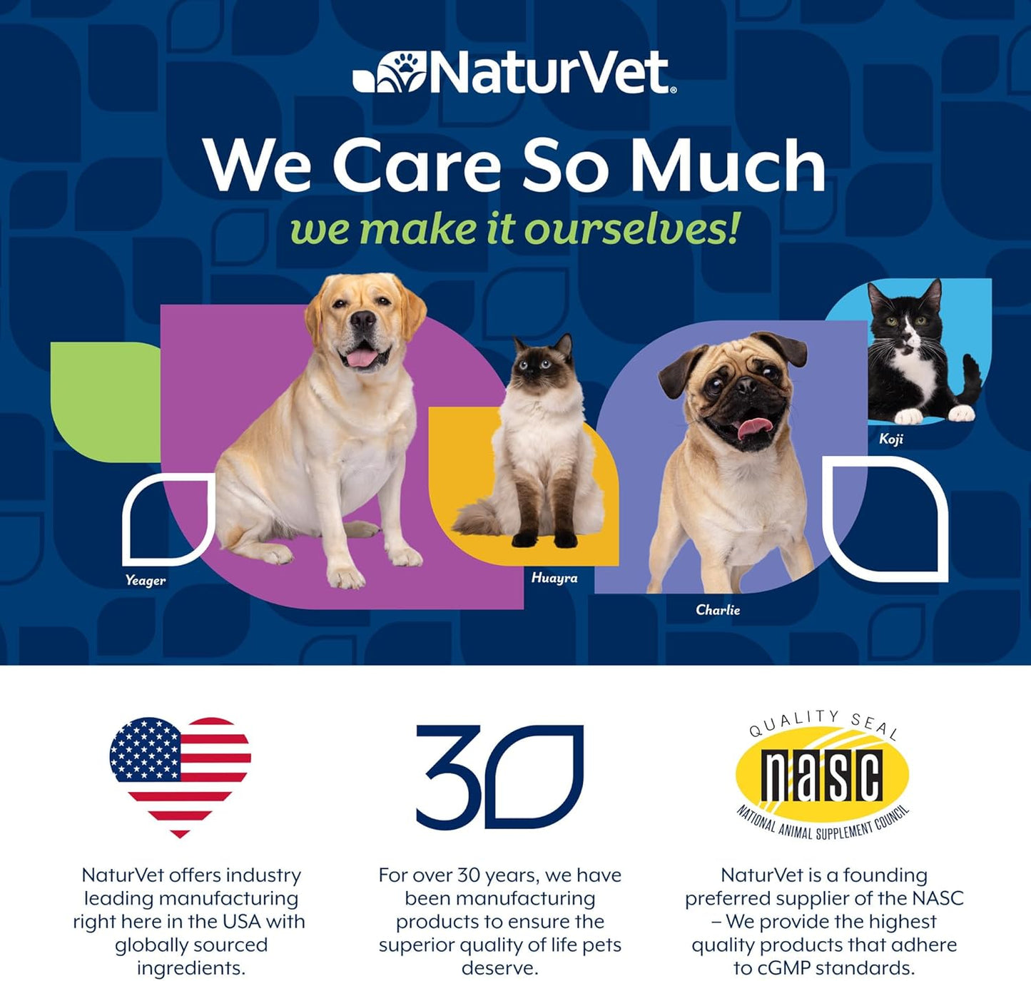 NaturVet Advanced Probiotics & Enzymes, PB6 Dog Soft Chews to Help Sensitive Stomachs and Digestive Issues, Hickory Smoked Bacon Flavored Pet Supplement for Dogs Over 6 Weeks, 120 Count Jar