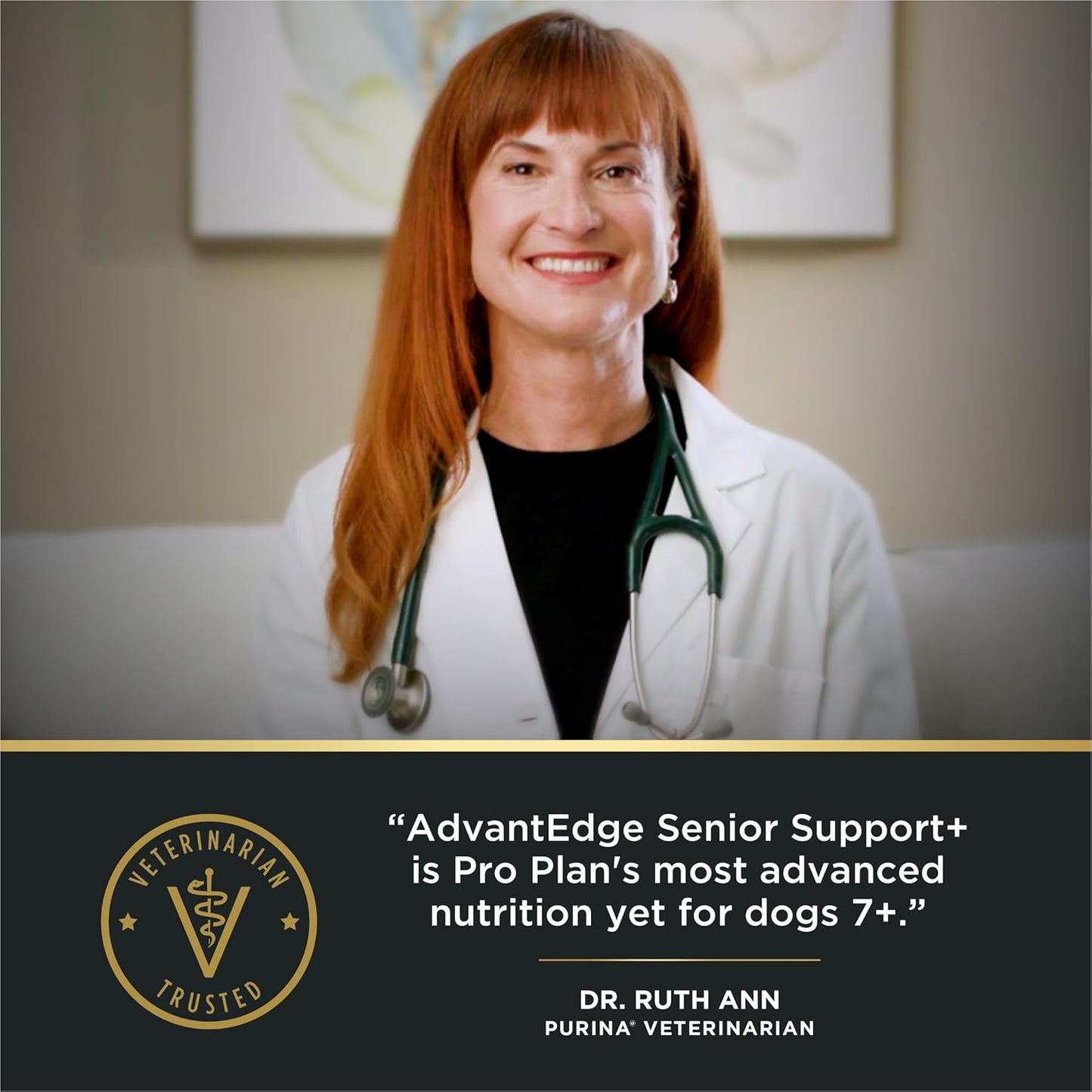 Purina Pro Plan AdvantEDGE Senior Support Plus Shredded Blend Chicken and Rice Formula Dry Dog Food - 12 lb Bag