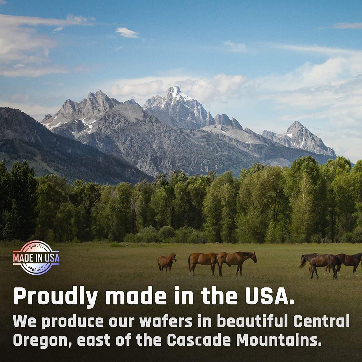 Majesty's Omega Wafers - Superior Horse / Equine Skin, Coat, and Immune Support Supplement - Omega 3, 6, 9, and Biotin - 60 Count (2 Month Supply)