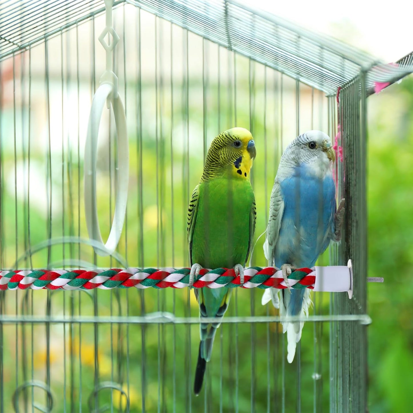 Novabright 6 Pcs Bird Rope Perch Stand Toys U Shape Large Bird Swing Perch Parrot Climbing Standing Cage Accessories for Parakeet, Cockatiel, Budgie, Lovebirds, Parrots