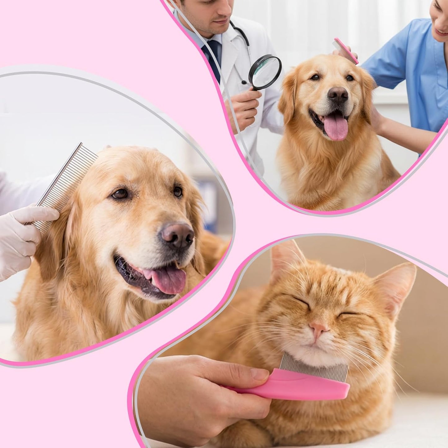 6 Pcs Pets Grooming Comb Kit Tear Stain Remover Comb Dog Face Combs for Eye Cleaning Gentle Grooming Tool Dematting Tool for Cats Dogs Remove Knots Stains Crust Mucus