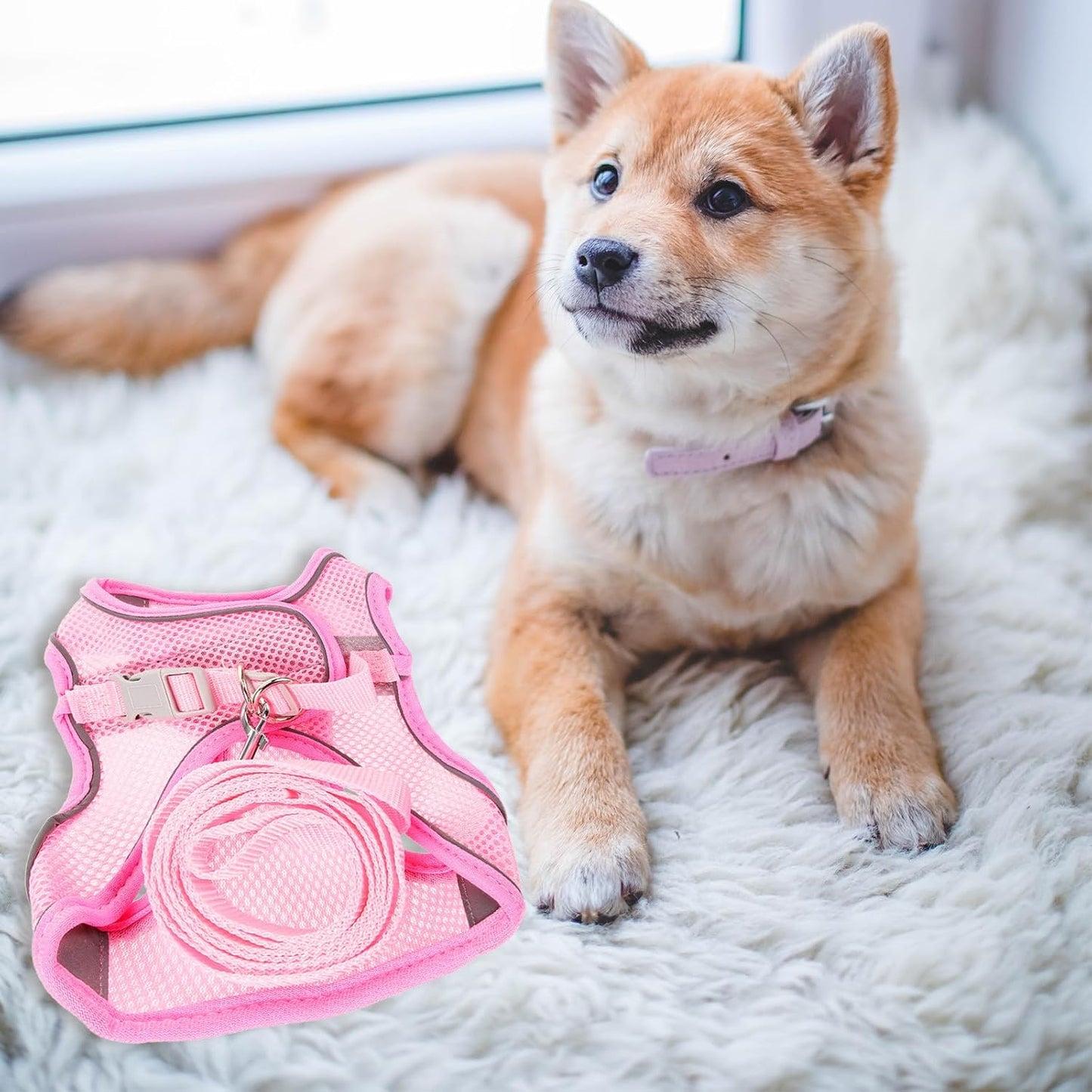 Breathable Reflective Dog Harness with Leash Soft Skin-Friendly Mesh No-Pull Pet Leash for Outdoor Training and Walking Safety Vest for Dogs and Puppies