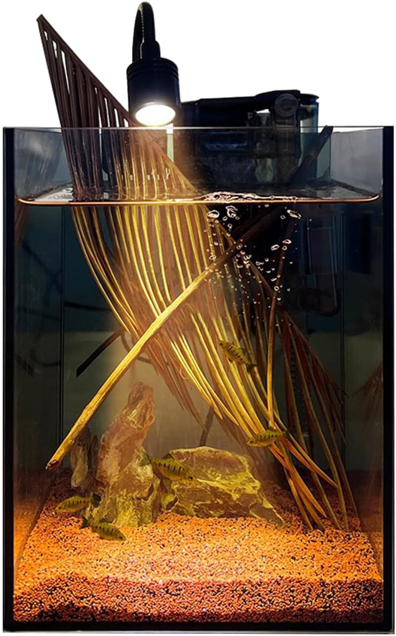 1.5Gallon Glass Aquarium Nano Small Fish Tank Start Kit with Adjustable Filter,LED Light for Small Fish,Shrimp,or Betta 22 * 16 * 16cm