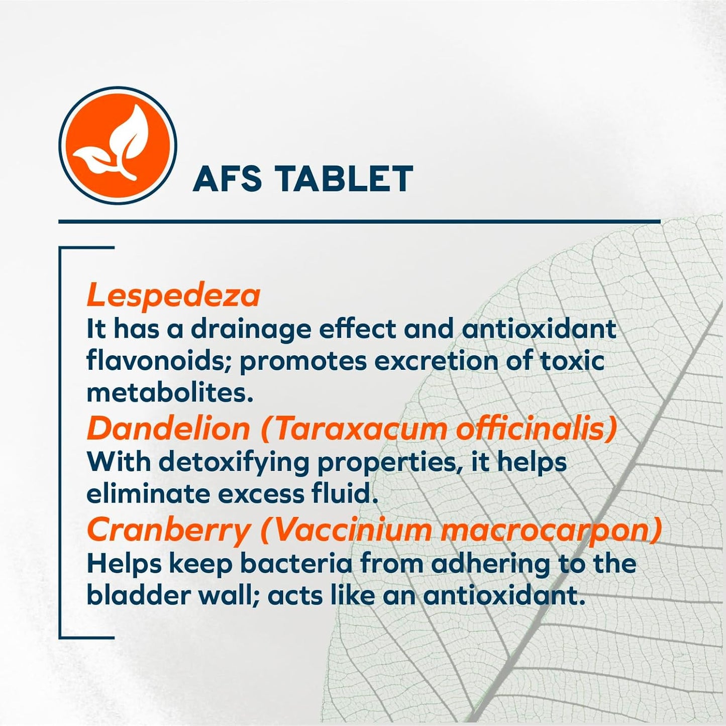 Forza10 - Cat Food, Limited Ingredient Cat Food for Kidney Support, Non-GMO, Fish Flavor, Crafted for Adults, Made in Italy (0.88 lb)