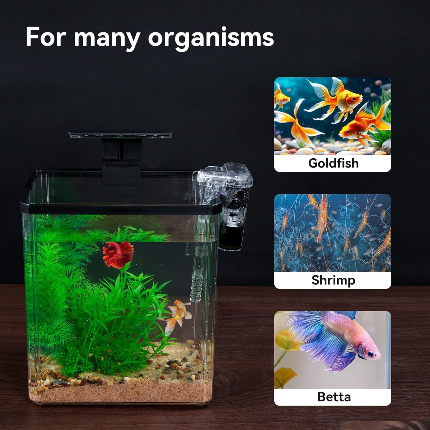1.5 Gallon Aquarium Starter Kits - Plastic Fish Tank Kit Clear Beta Fish Tank Small with Filteration Oxygenation, Water Circulation, Lighting - Beginner's Gift for Guppy, Shrimp, Goldfish