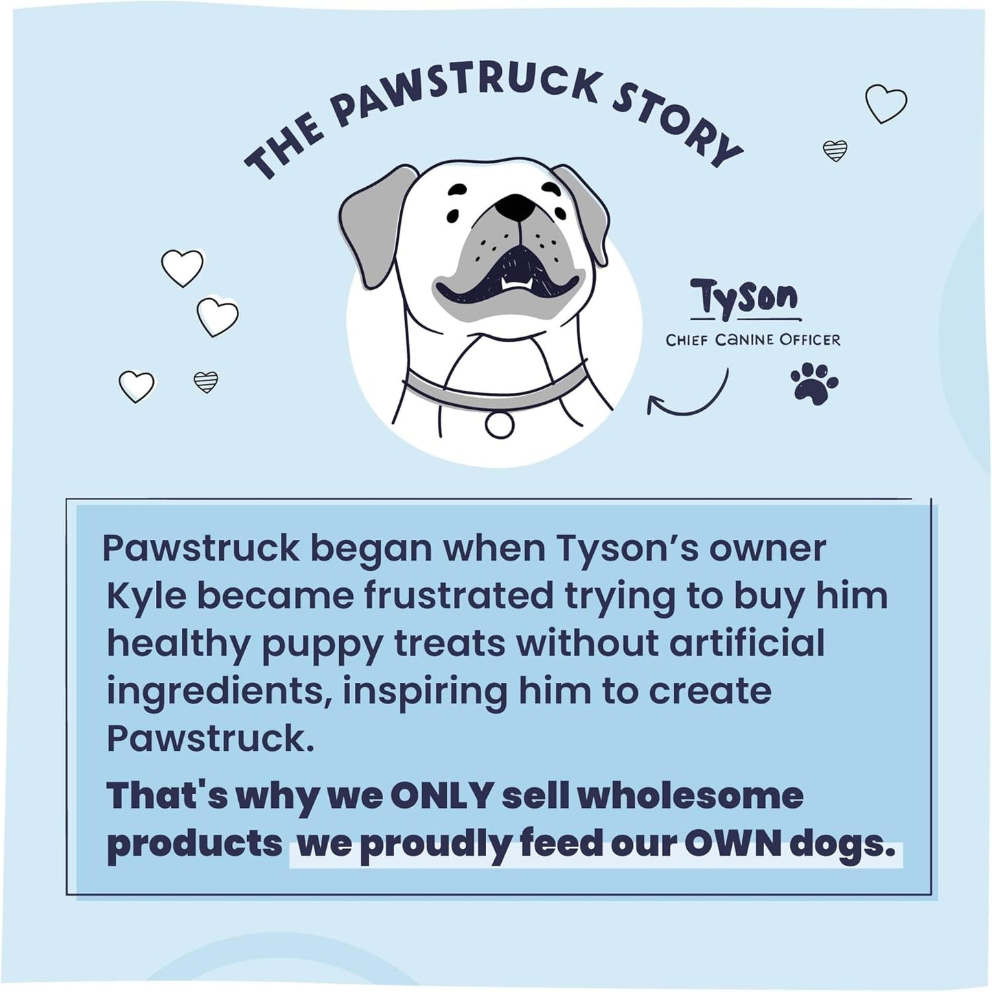 Pawstruck Natural 5-8" Bully Sticks for Dogs - Best Long-Lasting, Rawhide-Free, Low Odor Dental Chew Treat - Healthy Single Ingredient, 100% Real Beef - 8 oz Bag - Packaging May Vary