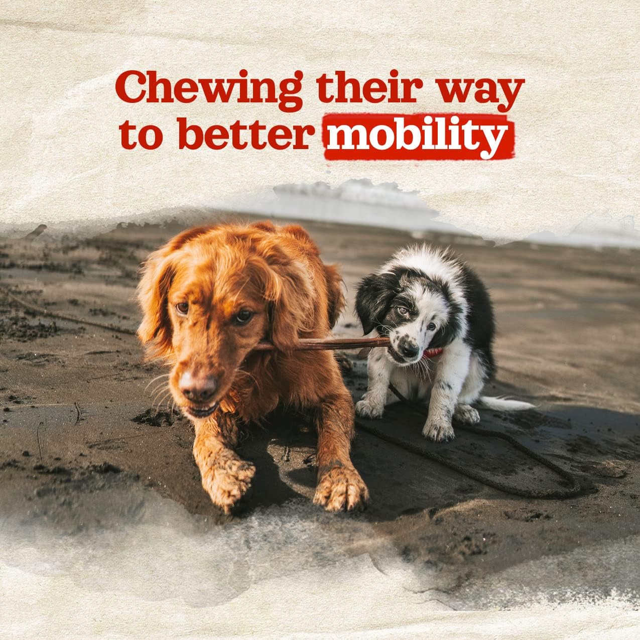 Natural Farm Odor-Free Collagen Chews, (12-Inch, 12-Pack), Long Lasting Bully Sticks & Rawhide Alternative Dog Treats, 95% Collagen, High Protein Best Dental Dog Treats β Medium & Large Dogs