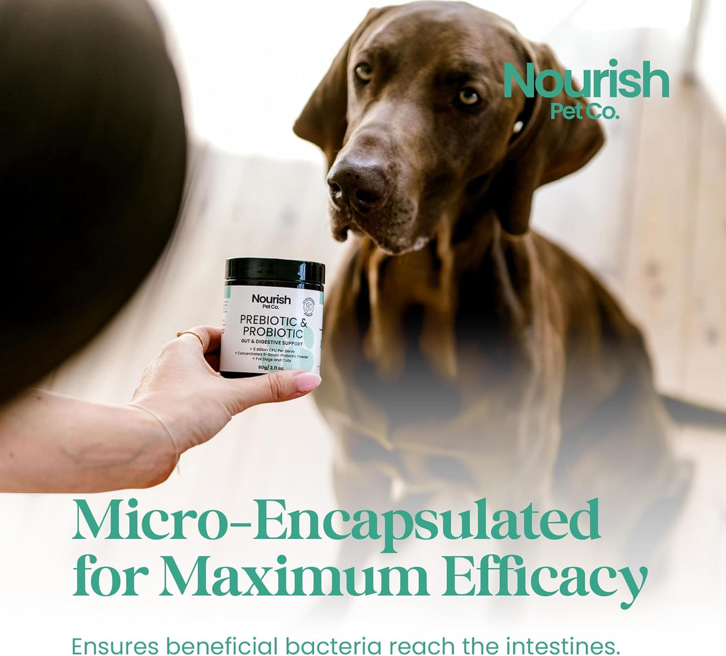 Nourish Pet Co. Gut Health Support for Pets - Prebiotics & Probiotics for Digestion & Immunity